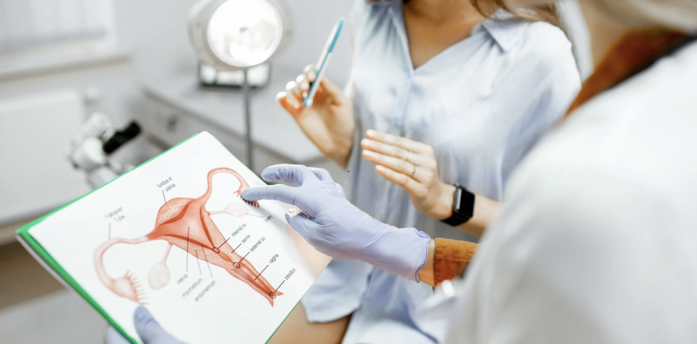 Specialist Consultation is Critical for Vaginal Lichen Sclerosus in Menopause
